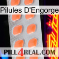 Engorge Pills 26